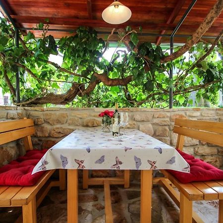 Carla Guest House Novigrad Istria 外观 照片