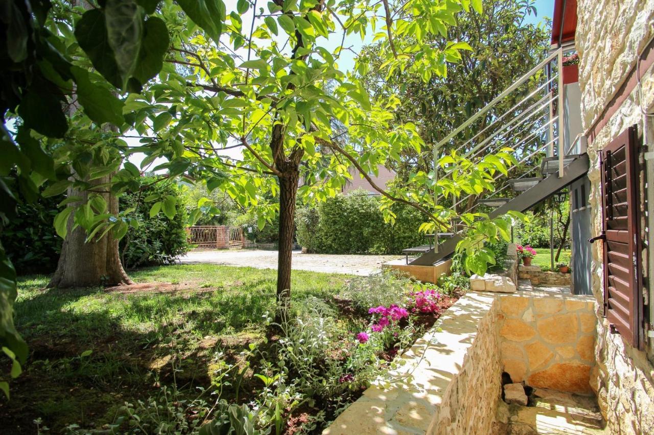 Carla Guest House Novigrad Istria 外观 照片